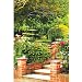 Botanico Allium Dome Head Garden Arch