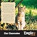 Eagle Pack Natural Dry Cat Food, Chicken & Oatmeal, 12-Pound Bag