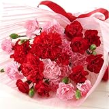 ���̓��M�t�g��ԑ��u�T���N�X�}�}�v�y���͂���5��7���`10���z