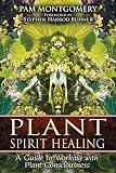 Plant Spirit Healing: A Guide to Working with Plant Consciousness Plant Spirit Healing: A Guide to Working with Plant Consciousness