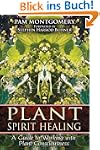 Plant Spirit Healing: A Guide to Work...