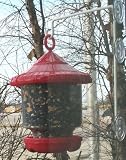 Songbird Essentials Window Suction Cup Hanger