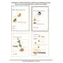 Second Grade Technology: 32 Lessons Every Second G&hellip by Structured Learning It Teaching Team