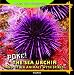 Poke!: The Sea Urchin and Other Animals With Spikes (Armed and Dangerous)
