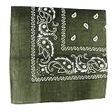 Paisley Cotton Bandanas
