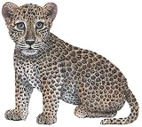 Walls of the Wild Leopard Cub