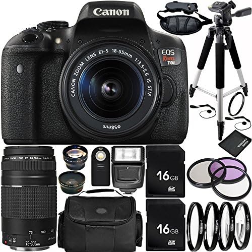 Canon EOS Rebel T6i DSLR Camera Bundle with 18-55mm f/3.5-5.6 IS STM Lens &amp; EF 75-300mm f/4-5.6 III Lens, Carrying Case and Accessory Kit (22 Items)