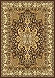 Traditional Area Rug, Home Dynamix Royalty Brown