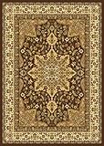 Traditional Area Rug, Home Dynamix Royalty Brown