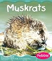 Muskrats (Wetland Animals)
