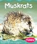 Muskrats (Wetland Animals)