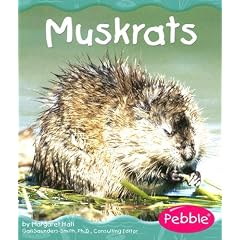 Muskrats (Wetland Animals)