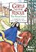 Girls to the Rescue (free sample story) The Royal Joust