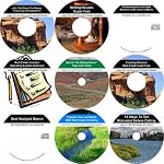 The In-Depth Nine CD Nothing Down, Millionaire Making Real Estate Mentoring System book cover