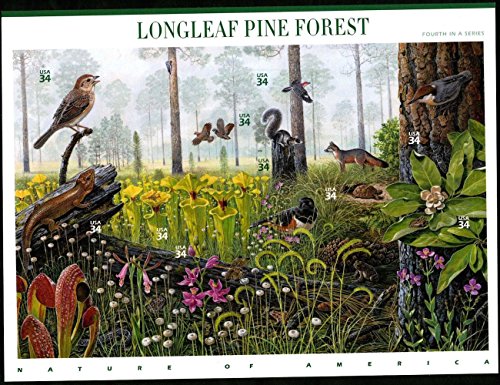 Longleaf Pine Forest (Nature of America), Full Sheet of 10 x 34-Cent Postage Stamps, USA 2001, Scott 3611