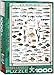 EuroGraphics Fish Shellfish Mollusks 1000 Piece Puzzle