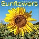 SUNFLOWERS 2010 Wall Calendar #30258-10