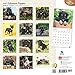 Schnauzer Puppies 2016 Wall Calendar