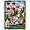 Mississippi State Bulldogs