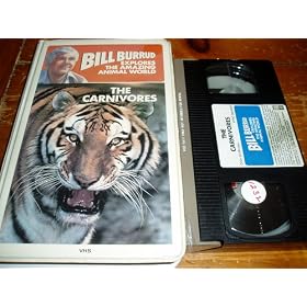 Bill Burrud Explores the Amazing Animal World: The Carnivores