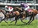 Jigsaw of Horse Racing - John Smiths Cup Day - York Racecourse from Press Association Images