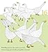 Counting Birds