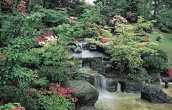 Oriental Garden Wall Mural
