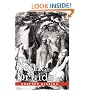 The Celtic Druids