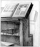 No Cure For Herpes? The Big Lie