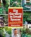 Big Gardens in Small Spaces: Out-of-the-Box Advice for Boxed-in Gardeners