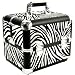 Roo Salon Beauty Box Case Zebra Opal