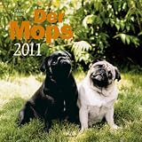 Der Mops 2011