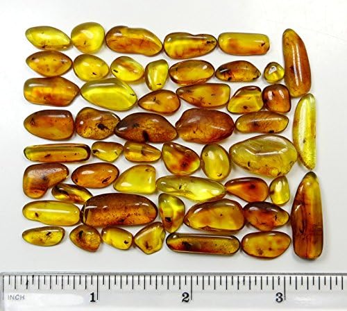 Rare Natural Baltic Amber Stone with Fossil Insect Inclusion #2