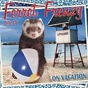 Ferret Frenzy: On Vacation