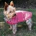 Trixie Hundemantel Lilles rosa XS - 30 cm