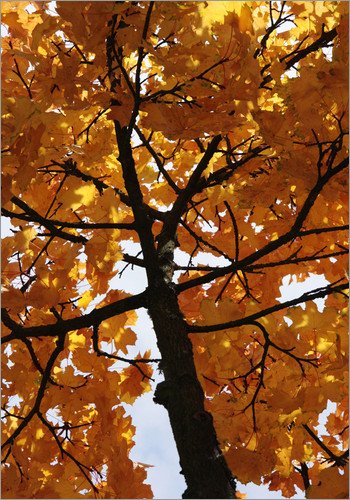 Art poster Autumn over me in size: 20 x 30 cm by R. Lorz