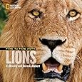 Face to Face with Lions (Face to Face with Animals)