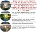 Book The Down and Dirty Make An Extra Income, Success Principles and Sales Models for Racquetball Racquets On-line Businesses 3 CD Course