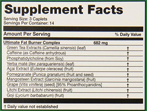 Phytogenix Ultimate Fat Burner, 42 Count