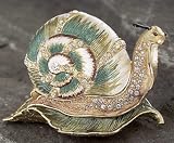 Image of Snail Box