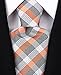 Scott Allan Men's Stripe Necktie
