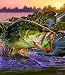 Sunset Explosion 550pc Jigsaw Puzzle by Al Agnew