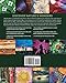 National Geographic Illustrated Guide to Nature: From Your Back Door to the Great Outdoors