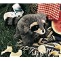 Folkmanis Baby Raccoon Puppet