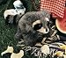 Plush Baby Raccoon 10"