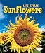 Search : Sunflowers (First Step Nonfiction Plant Life Cycles)