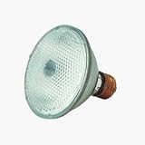 Tools & Hardware : GE Lighting 14779 75PAR30/H/FL35 Compact Halogen Bulb