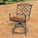 Willowbrook Cast Aluminum Outdoor Swivel Balcony Chair with Seat Cushion - Set of 2