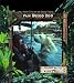 San Diego Zoo (Library of Living and Working in Colonial Times)