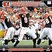 Cincinnati Bengals 2011 Wall Calendar